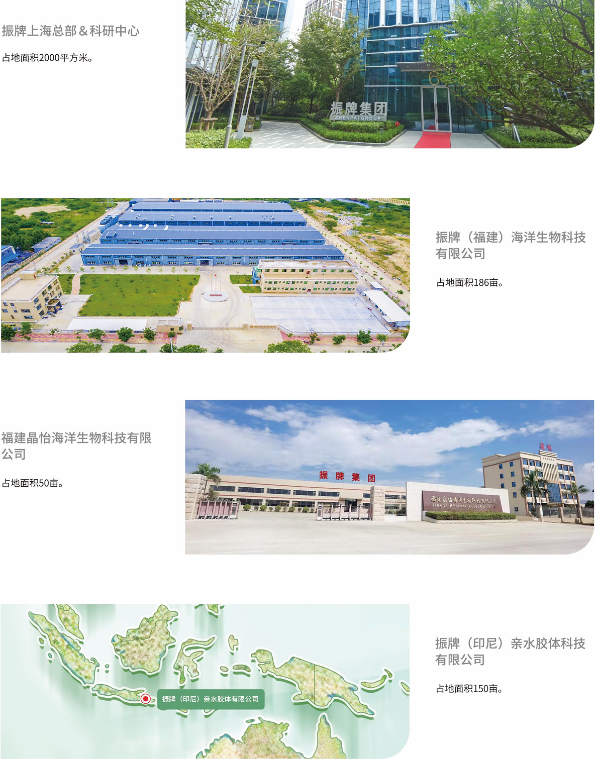 组织架构Xpng.png